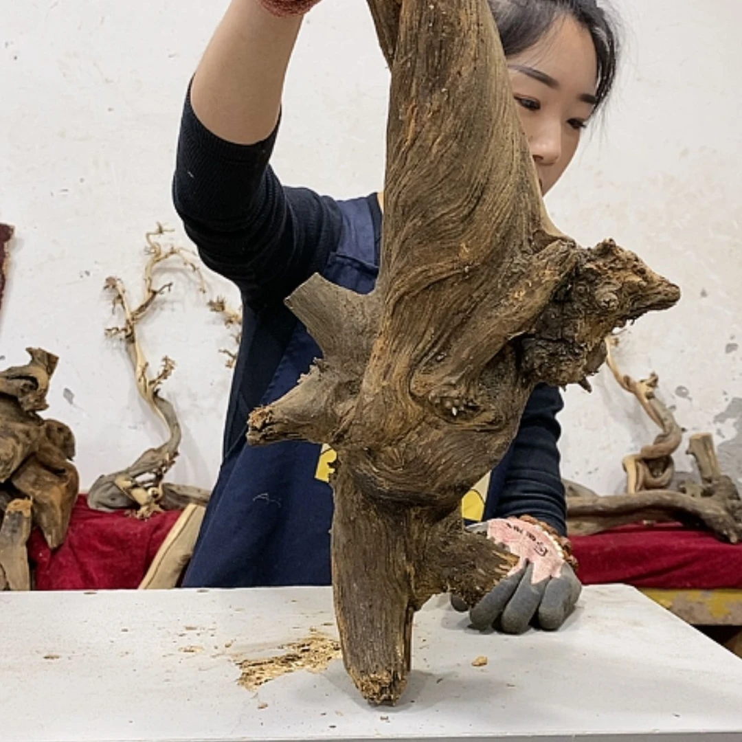 【闪购商品】柏木张**雕我们都是好孩子