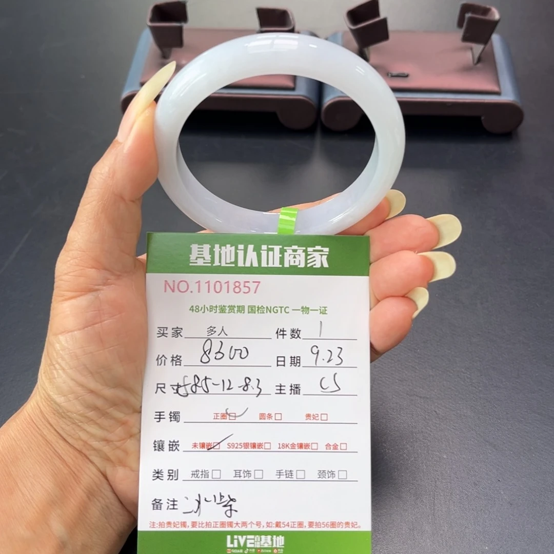 未镶嵌手镯翡翠多人