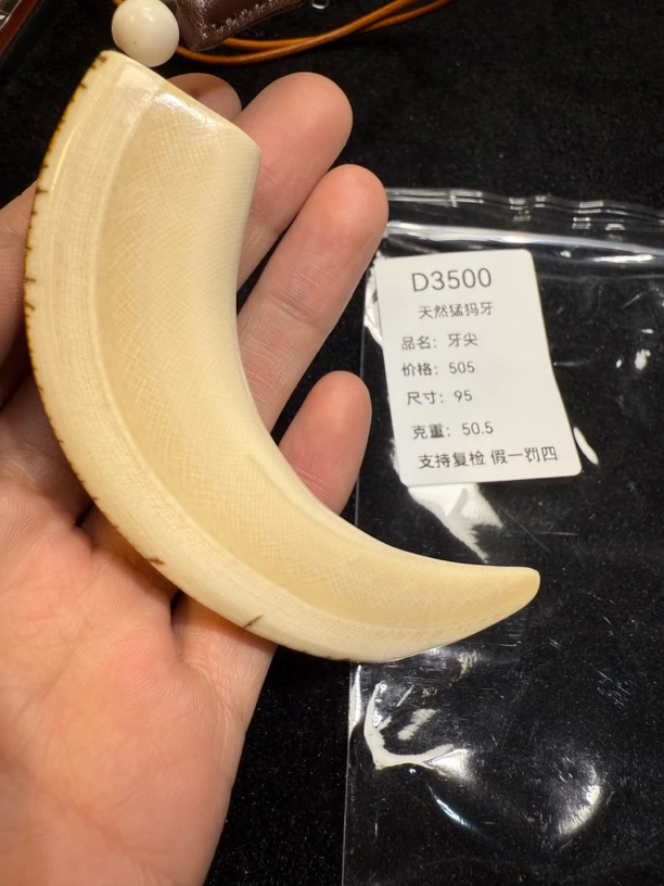 D3500天然猛犸牙牙尖吊坠