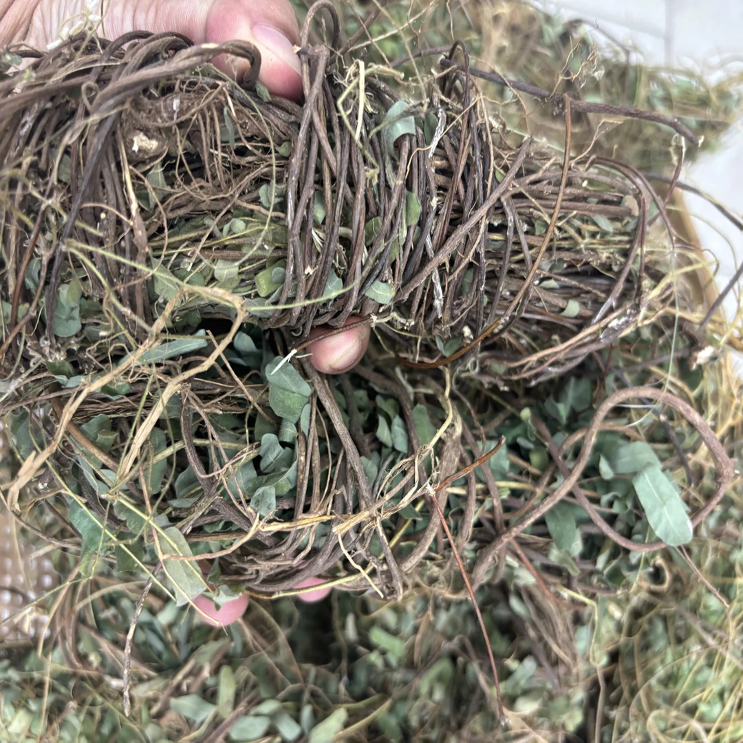 深山纯野生鸡骨草干货