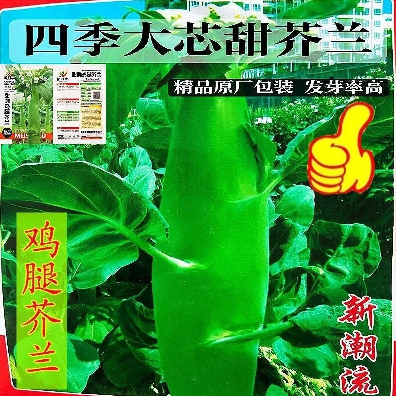 芥蓝种子鸡腿芥兰菜种子夏季种菜园种植耐热蔬菜种子农家四季播种