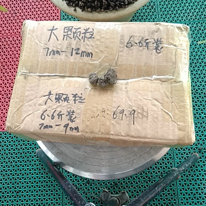 M***蔡兰菌颗粒  大颗粒6.6斤