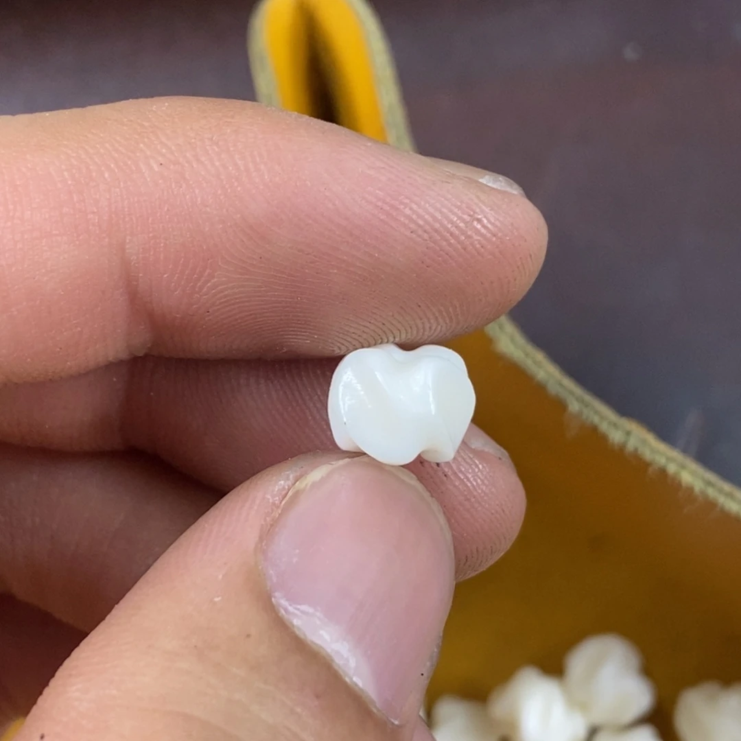 其他驼骨0.9尺寸,103