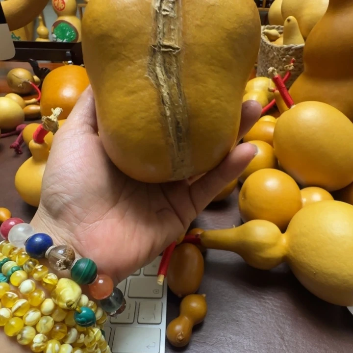 y***0精品课程等课程教学和研究