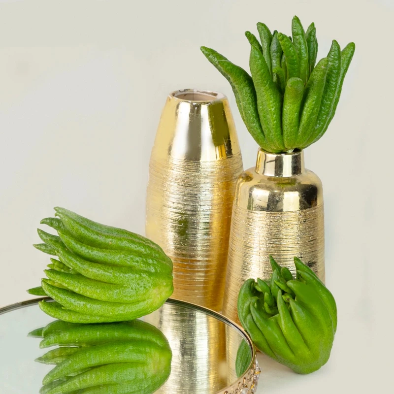 【精致小果佛手柑】鲜切枝甄选品质沁人清香家居氛围感鲜