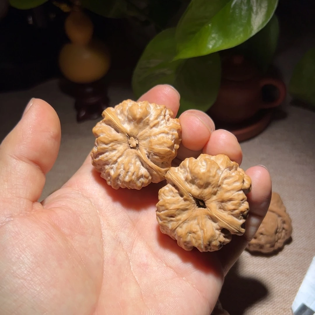 文玩核桃把件赵****9蛤蟆头手把件