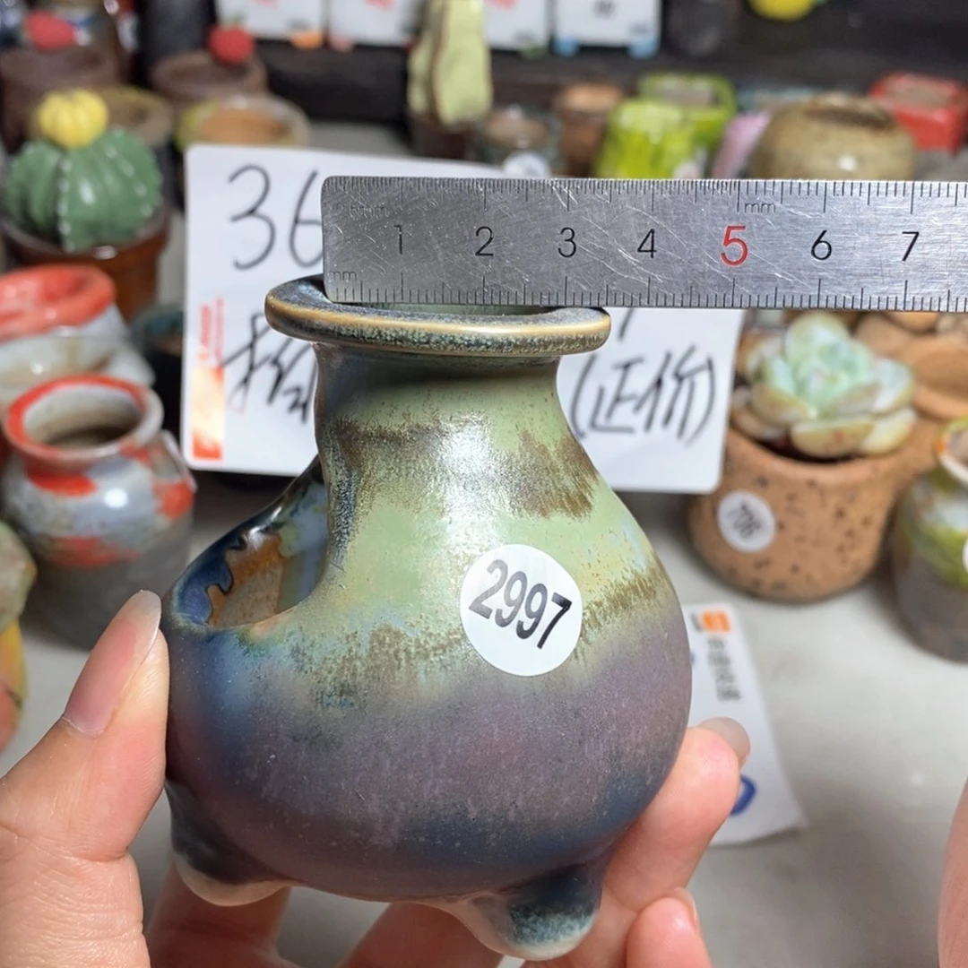 拍5送一个小礼物