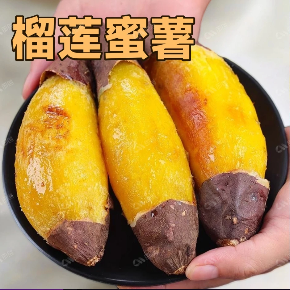 正宗榴莲蜜薯黄心红薯新鲜蜜薯沙地地瓜糖心软糯香甜玛莎莉番薯