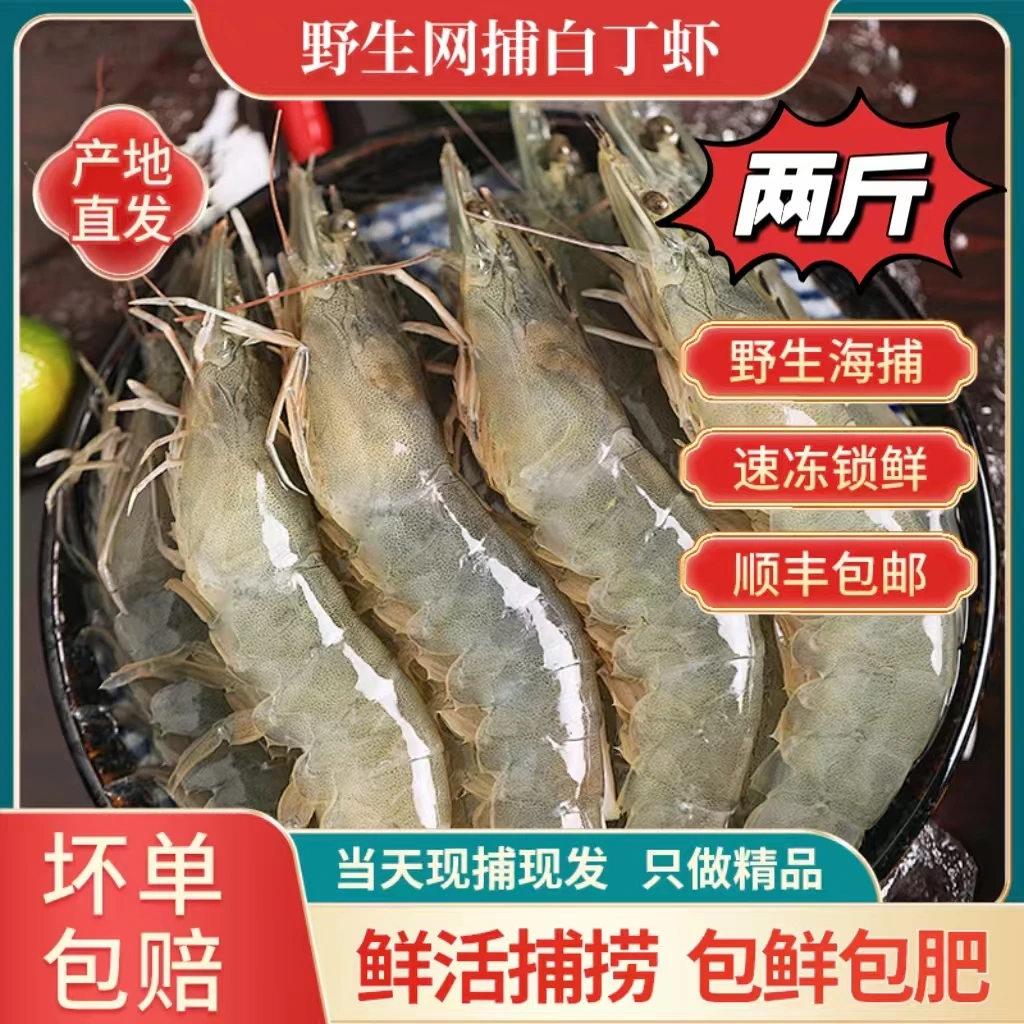 野生白丁虾 到手（2斤）