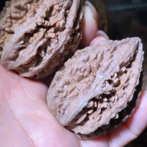 把件文玩核桃天**公东北野生楸子小美89