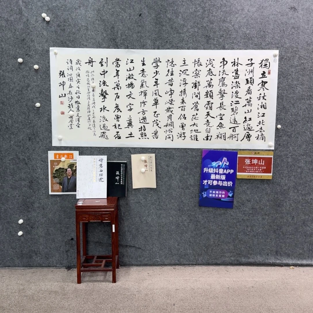 书法书法ZKS老师作品