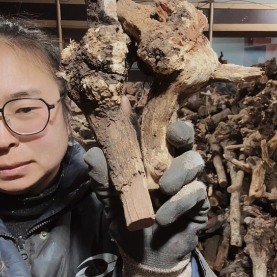 香榧木艺*火琉璃的毛料摆件