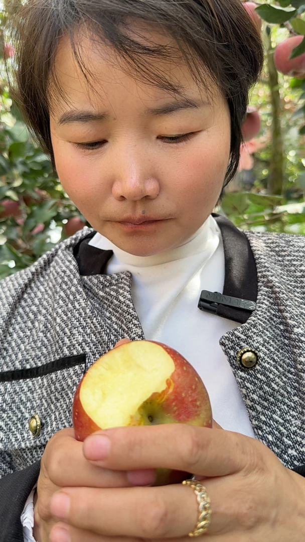 【昭通红露】云南昭通丑苹果正宗新鲜苹果当季新鲜脆甜多汁现摘水果