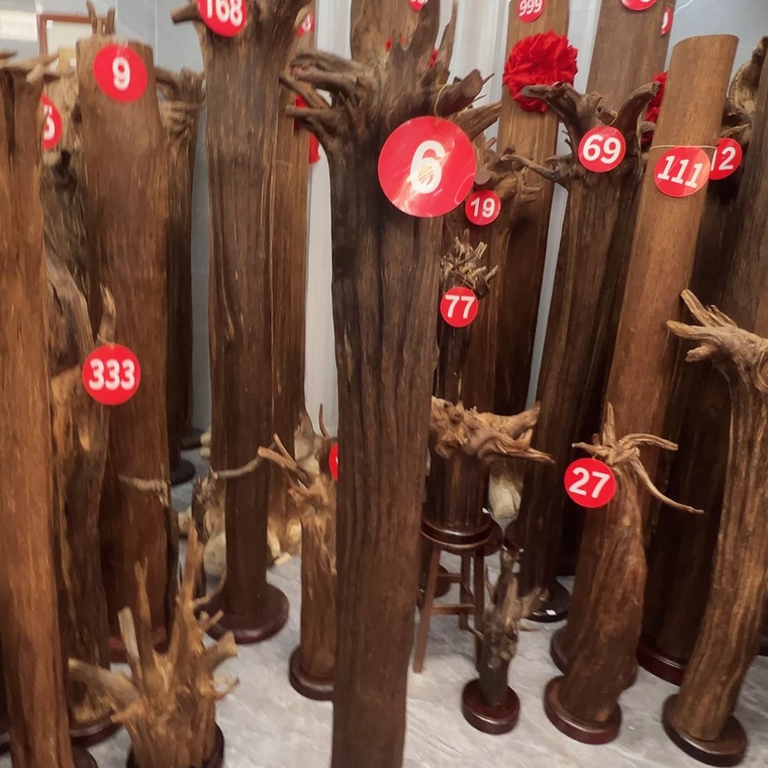 快***乐摆件沉香沉香原料