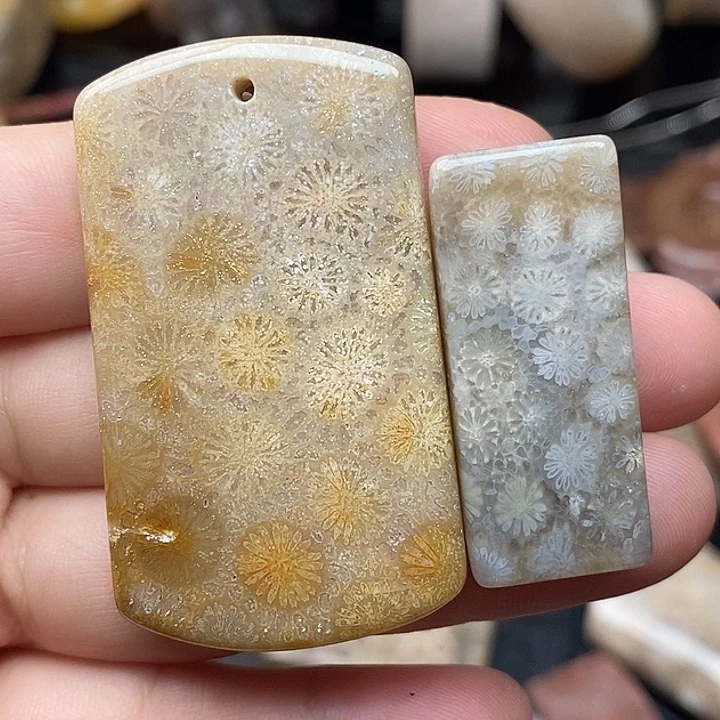 硅化玉未镶嵌颈饰