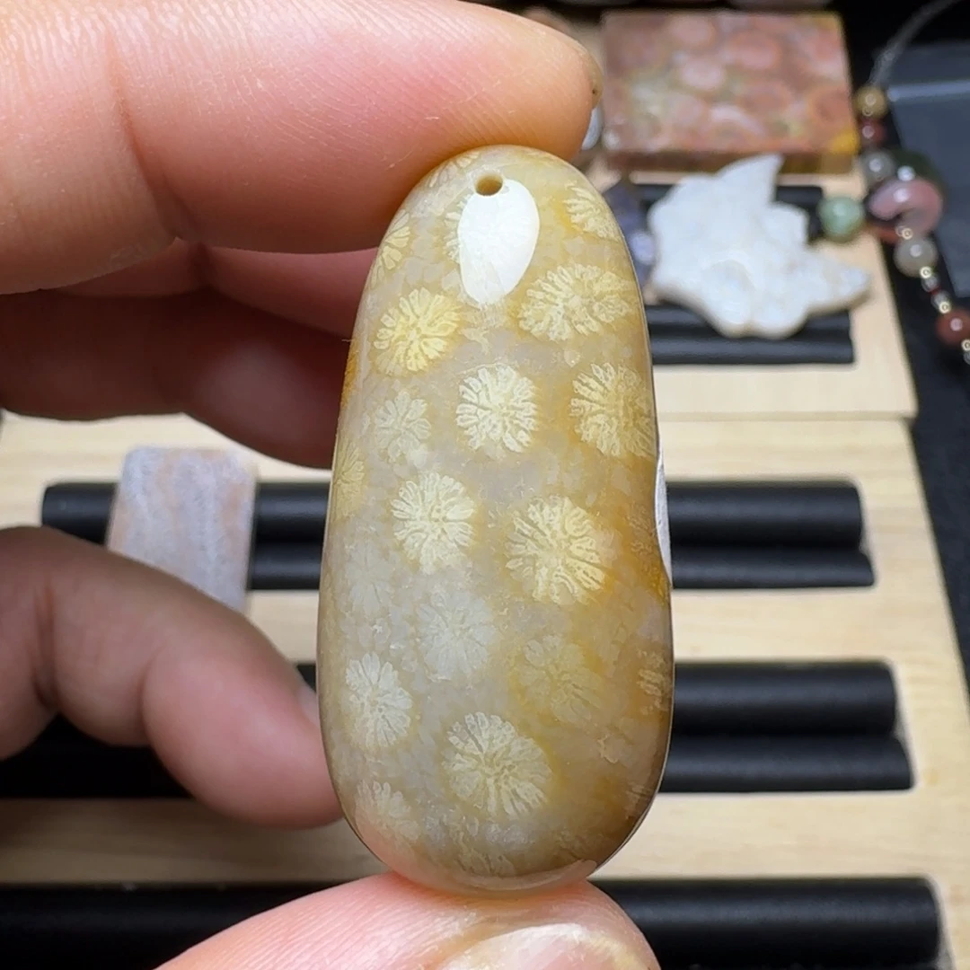 未镶嵌纯天然色有机玉石保真色硅化玉
