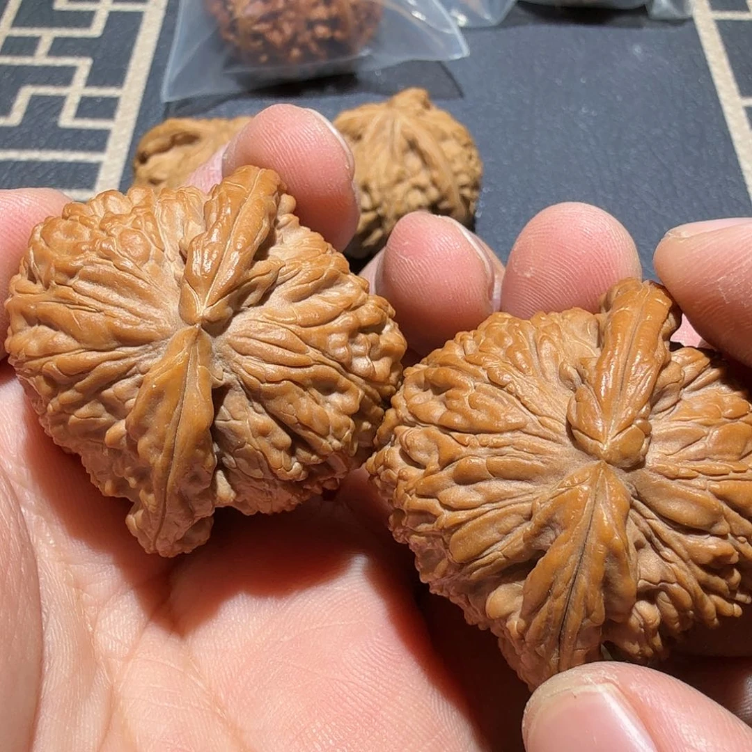 文玩核桃把件蒙*白狮子