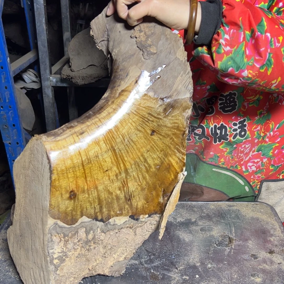 D***Q金丝楠22222222222222222222