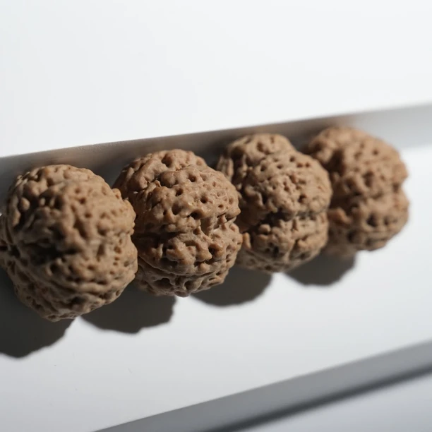 梁梅花XINGCHEN【轻奢】金刚菩提手串