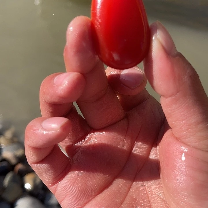 未镶嵌和田玉（糖玉）挂件