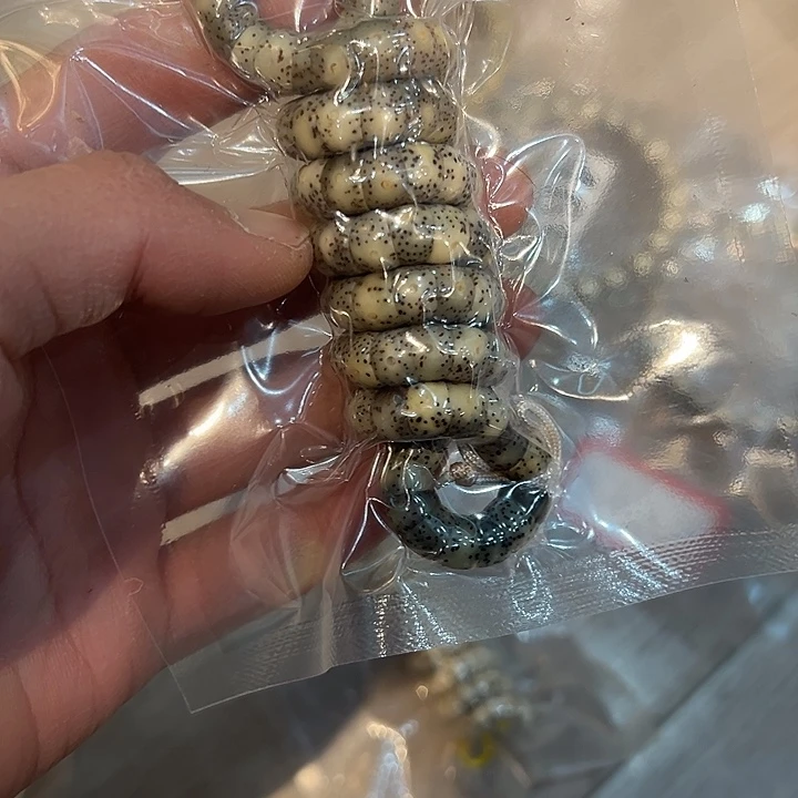 星月菩提吊坠8石玉料大肠长串，随机发