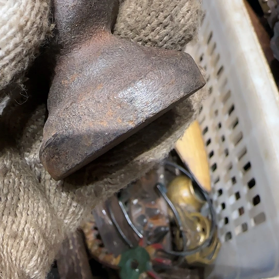 不***风一物一图看好在拍