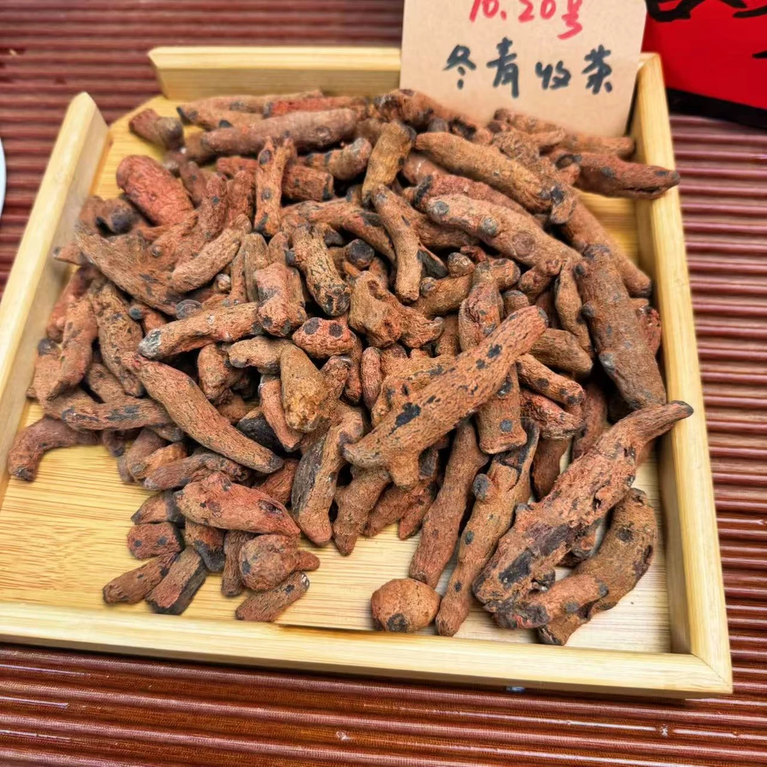 益母红络参 百搭益身茶 哀牢山产区 秋冬必备  冬青收茶