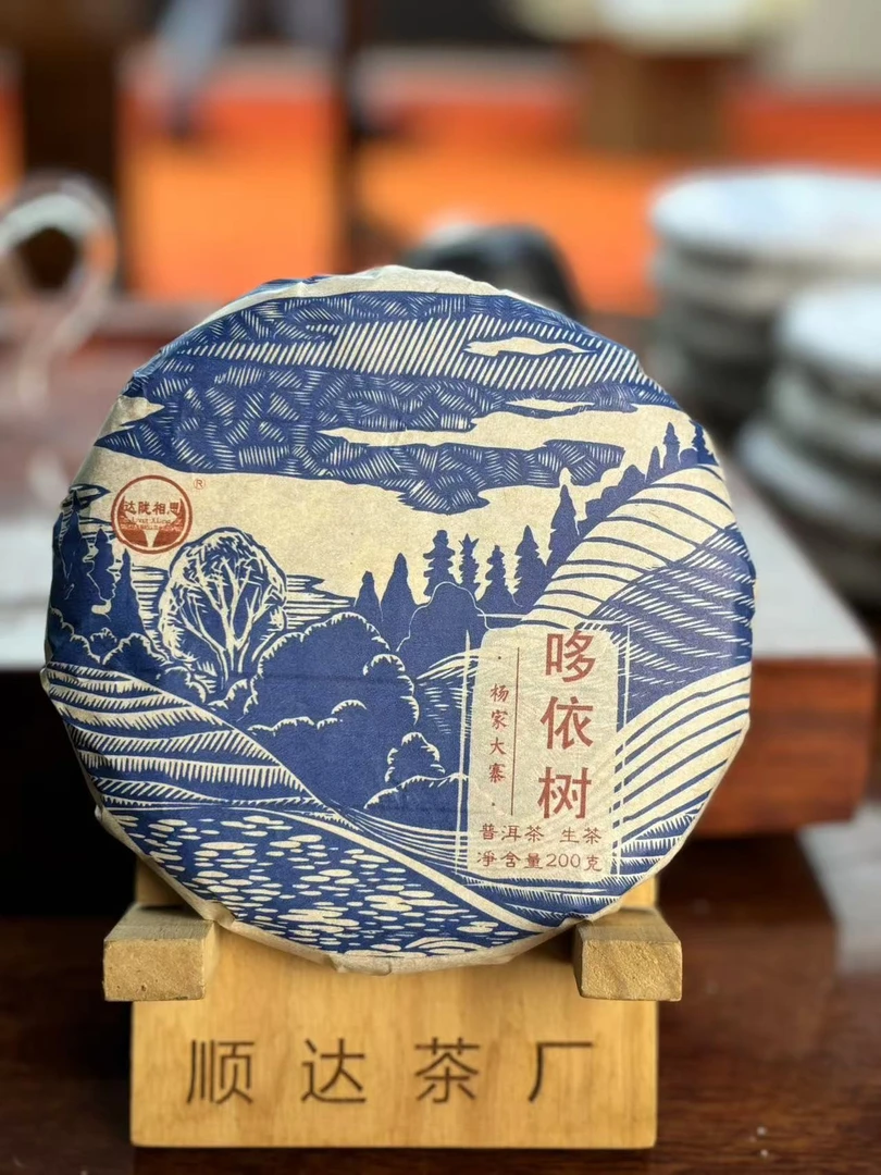 云南普洱茶生茶杨家大寨哆依树200克