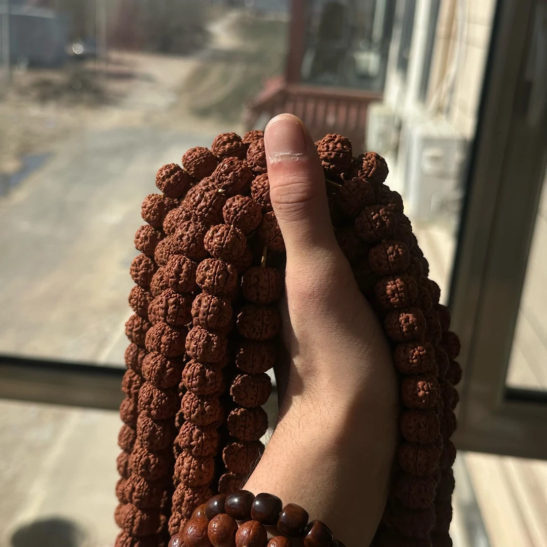 金刚菩提珠串红皮红肉霸王花