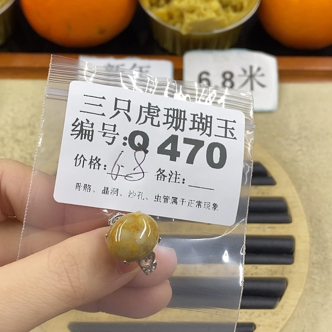 硅化珊瑚（珊瑚玉）1未镶嵌P****）