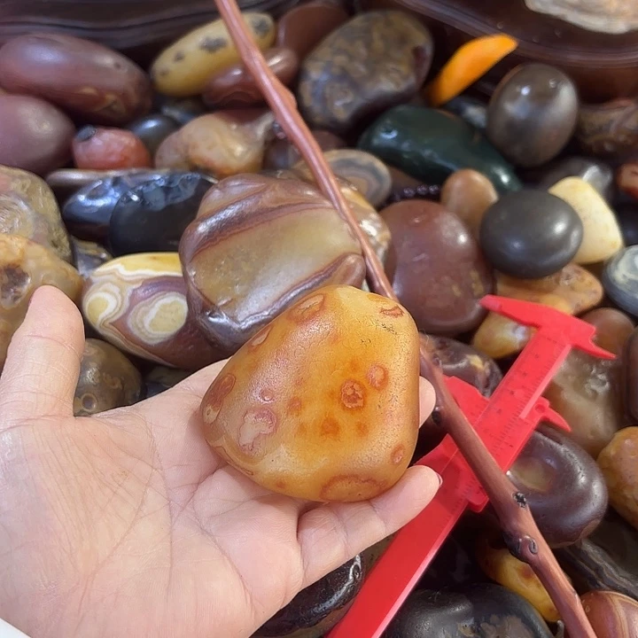 有机玻璃马达加斯加青蛙小摆件