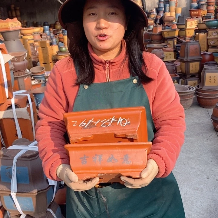 紫砂花盆盆栽花卉苗木种植