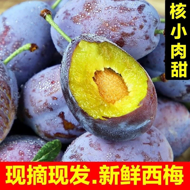 1云南蓝蜜西梅水果新鲜批发应季当季西梅鲜果新鲜西梅