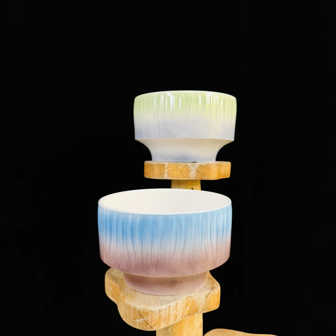 【青花瓷盆】随机发 蝴蝶兰盆栽时尚简约花盆