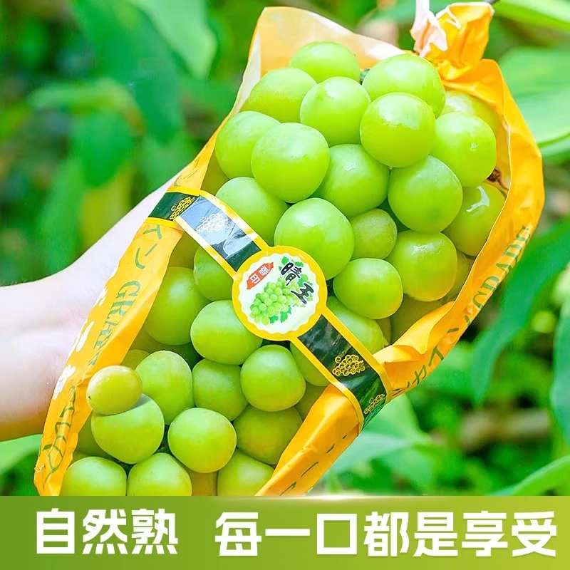 【京东包邮】现摘果王阳光玫瑰葡萄晴王无籽葡萄香印青提整箱送礼