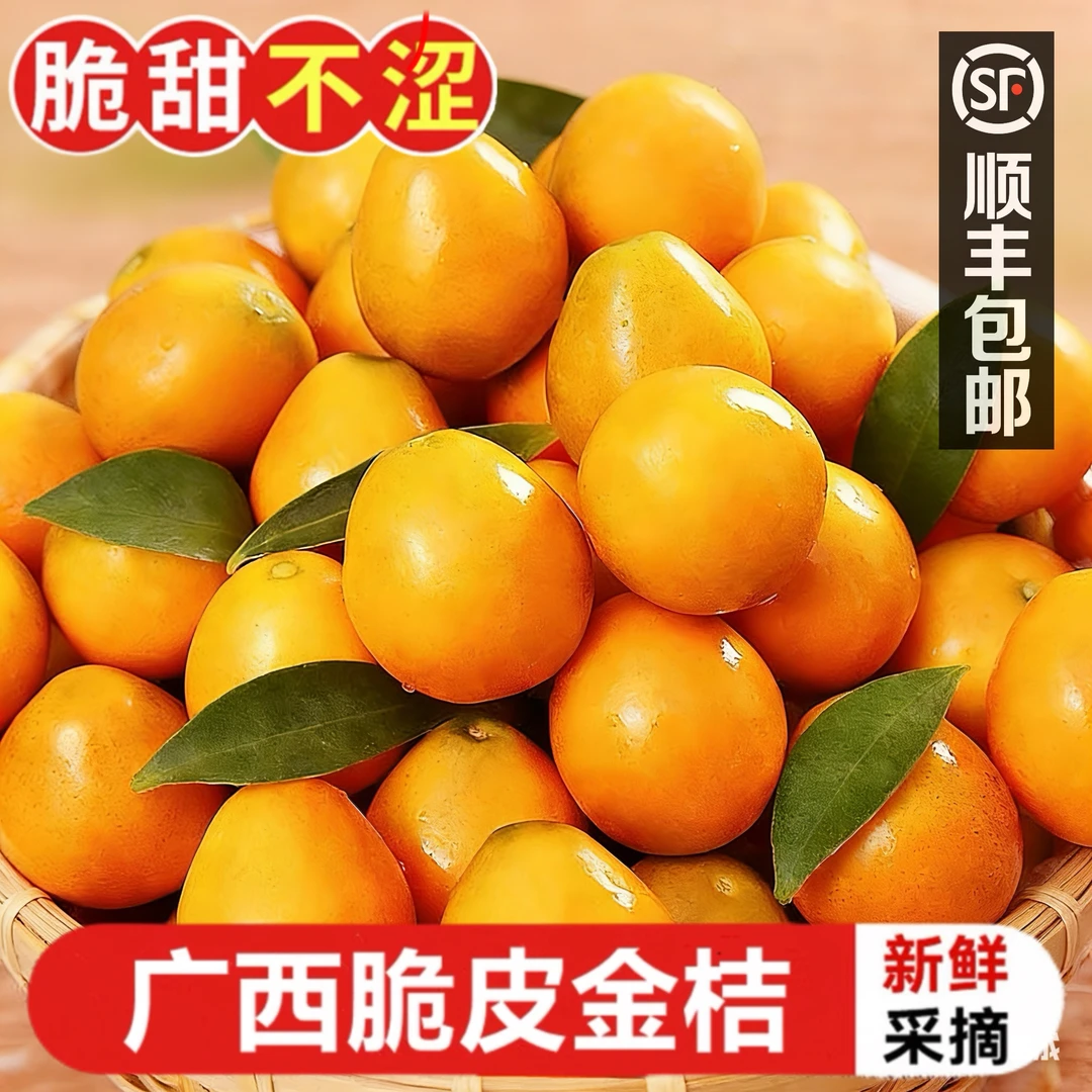 【第二代】融安滑皮金桔特产新鲜水果应季水果纯甜无酸