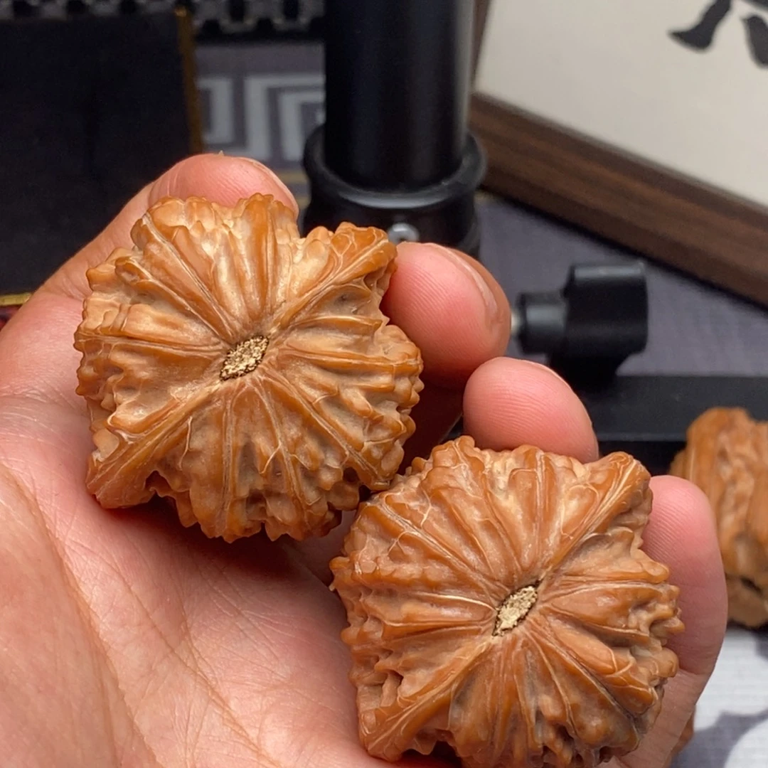 文玩核桃把件全品43尺正磨