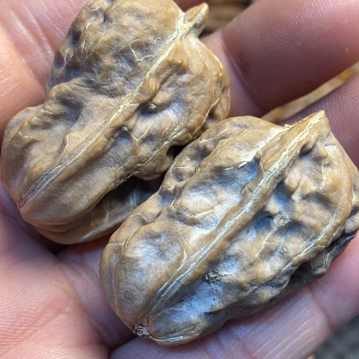 文玩核桃吊坠娜姐193