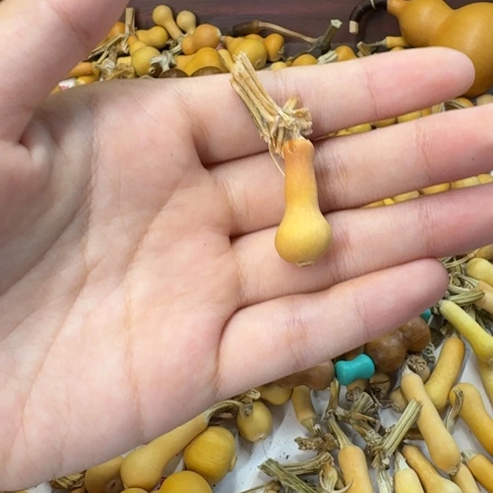 葫芦葫芦葫芦葫芦葫芦