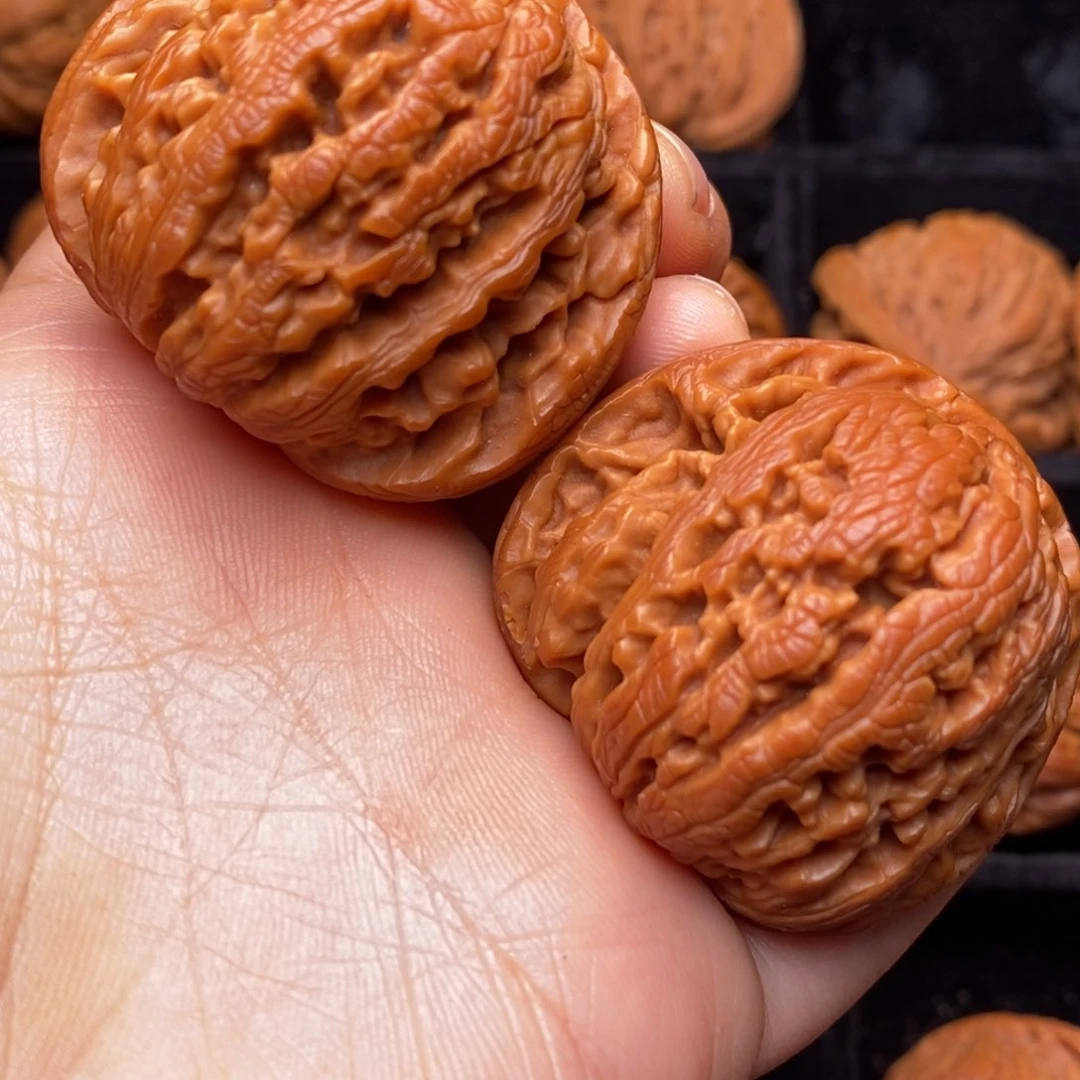 文玩核桃把件秦岭野生核桃