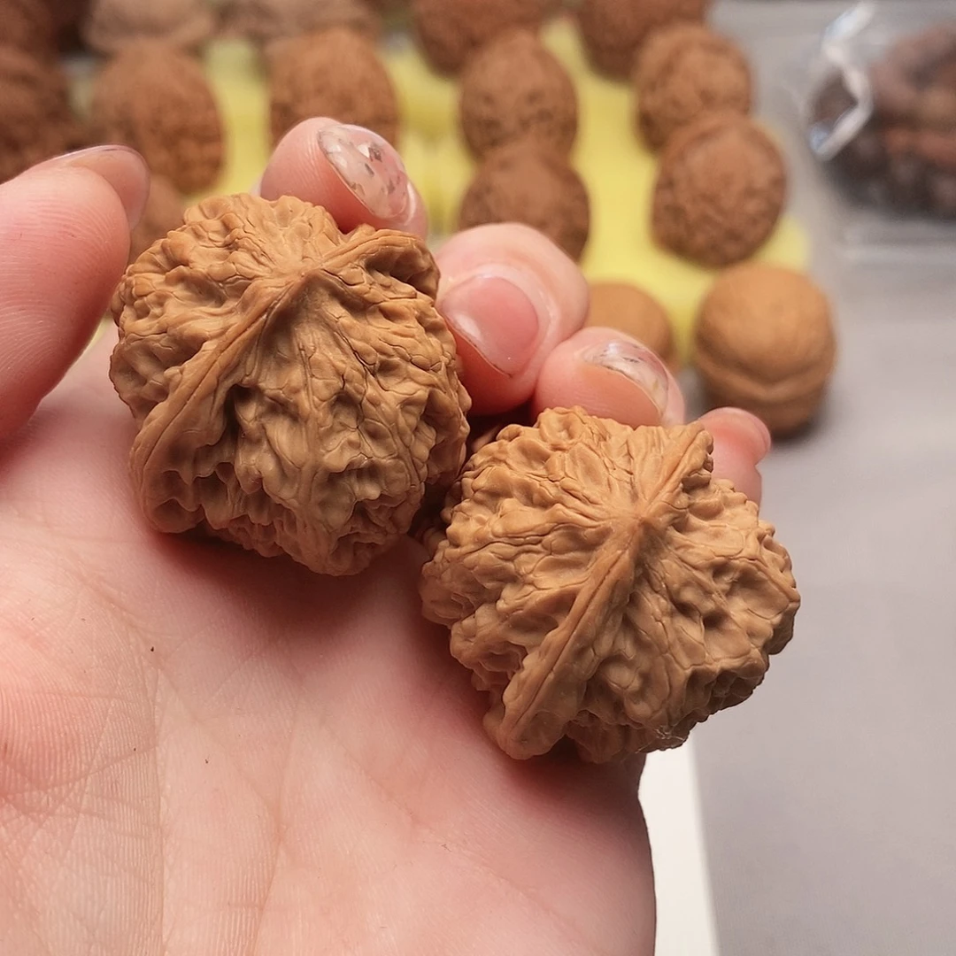 大叶紫檀（黑酸枝木类）野核