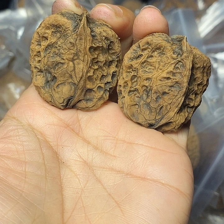 文玩核桃把件云南铁核桃93