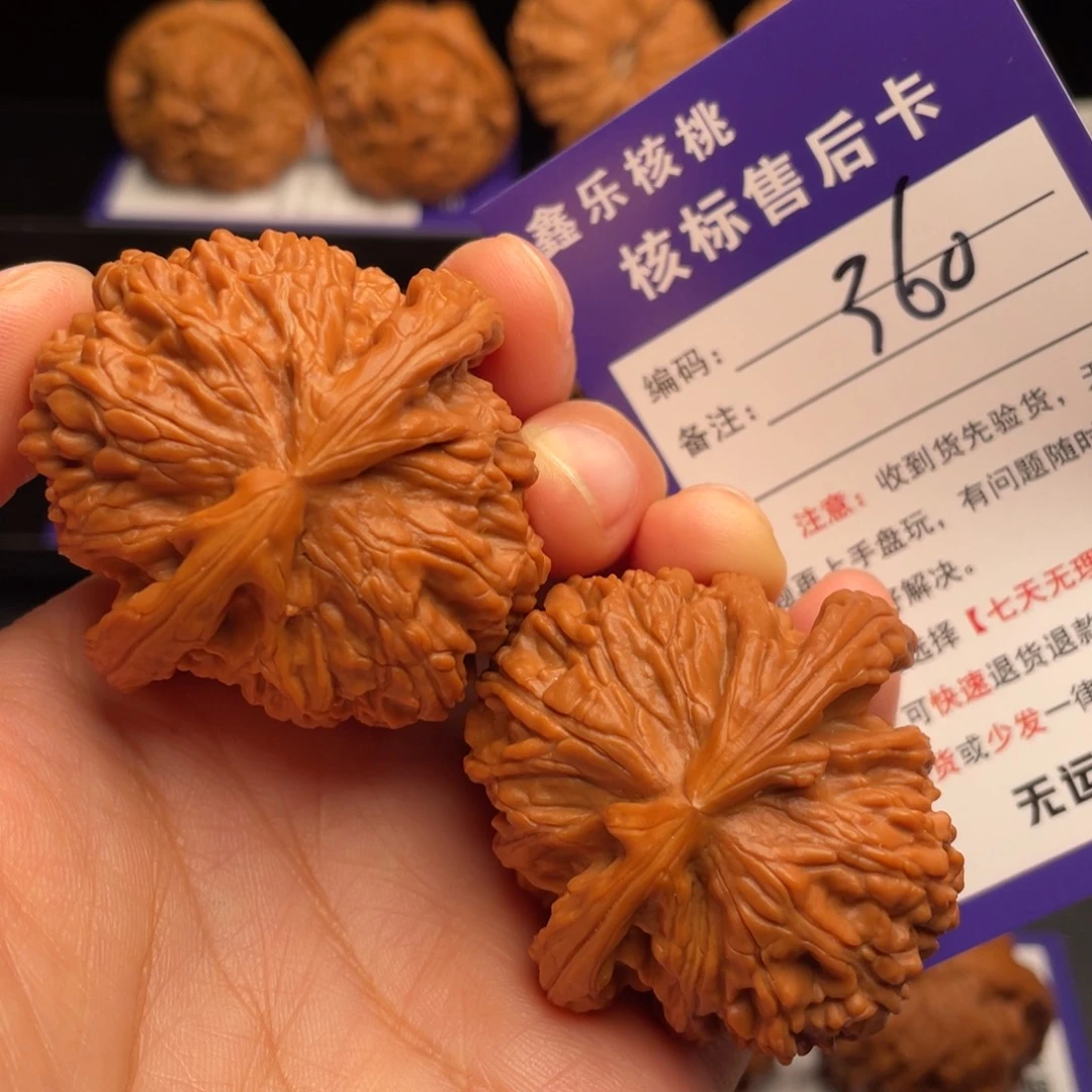 把件文玩核桃白狮子44尺