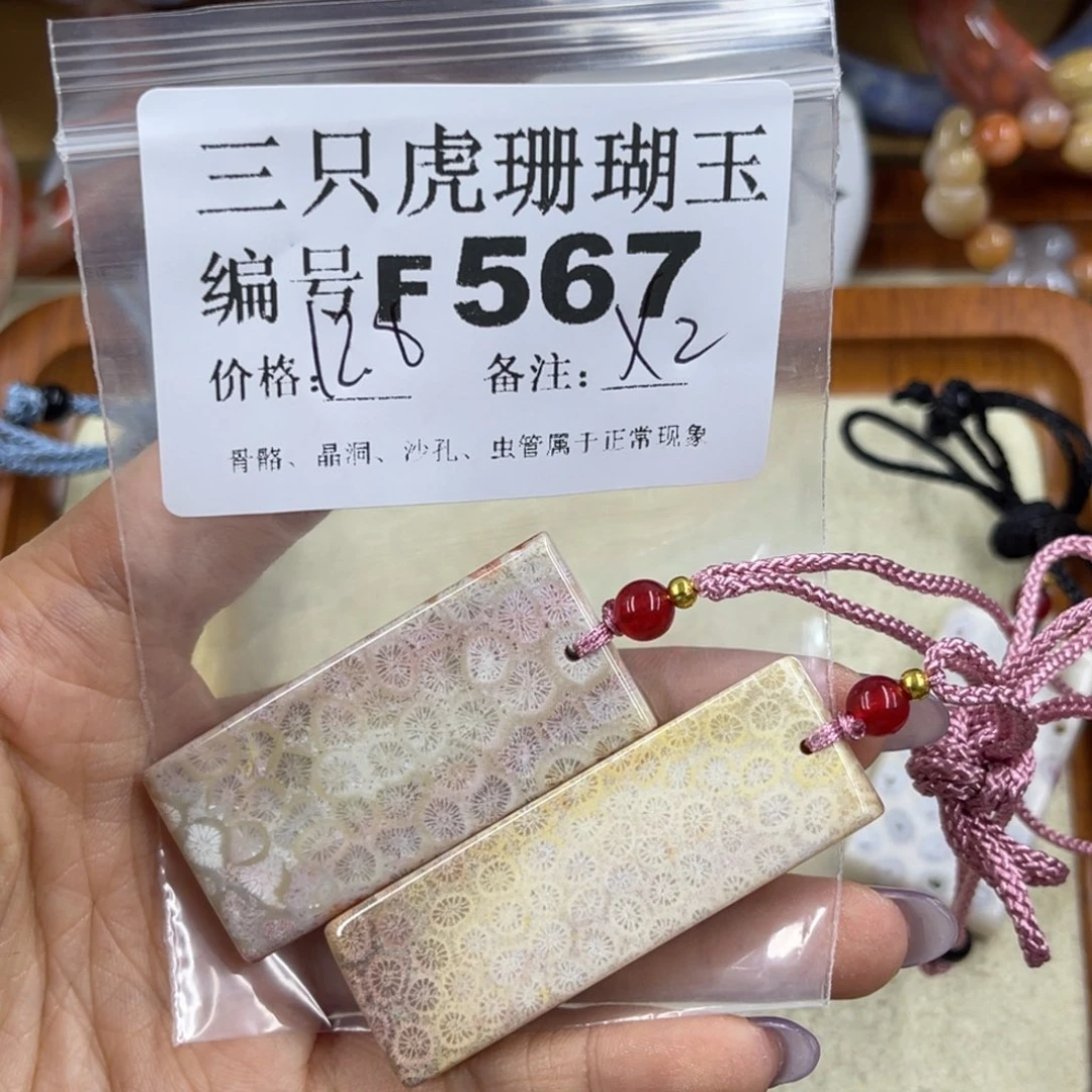 月***苔未镶嵌h硅化珊瑚（珊瑚玉）