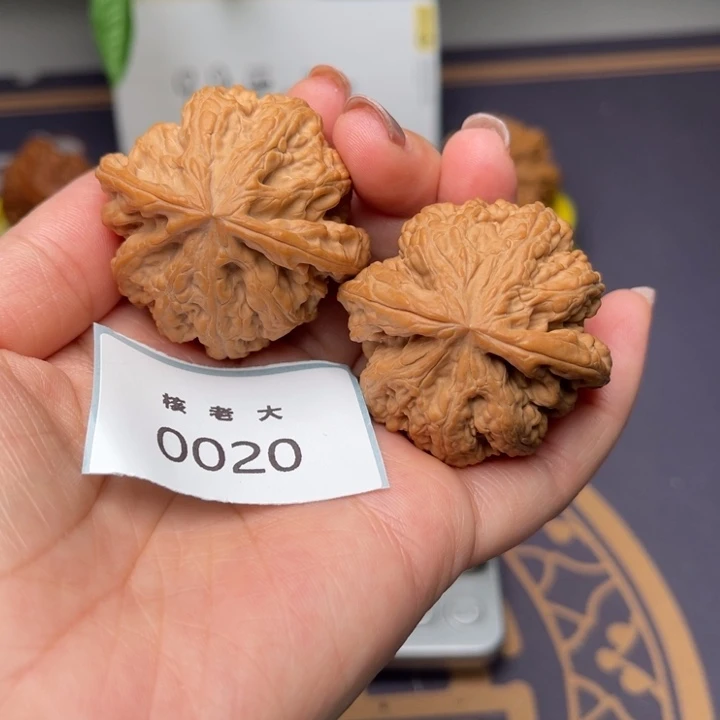 文玩核桃把件粗筋42/0020