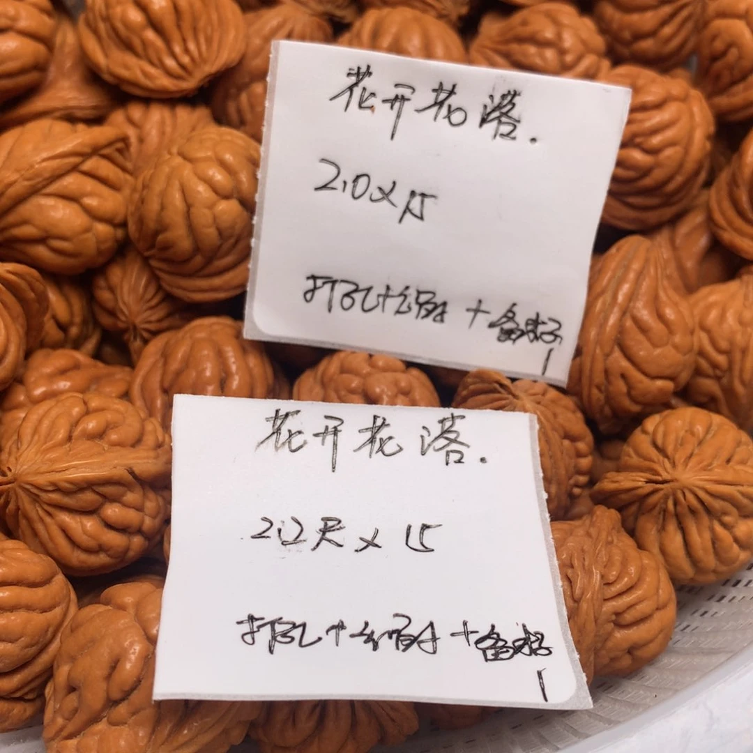 龙纹桃核霸王龙—