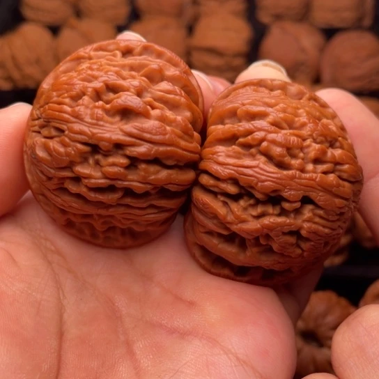 文玩核桃把件秦岭山脉核桃
