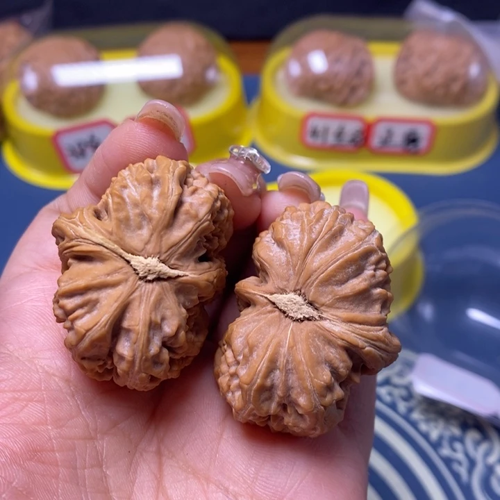 文玩核桃把件白狮子半壁