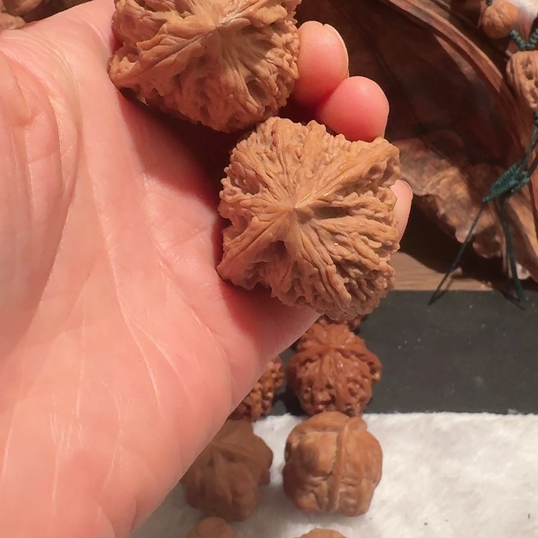 全品南疆石狮子头41