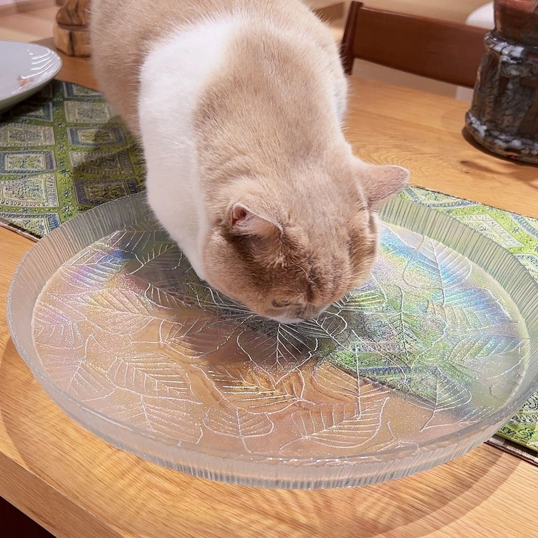 咖啡杯也要来杯吧喝水